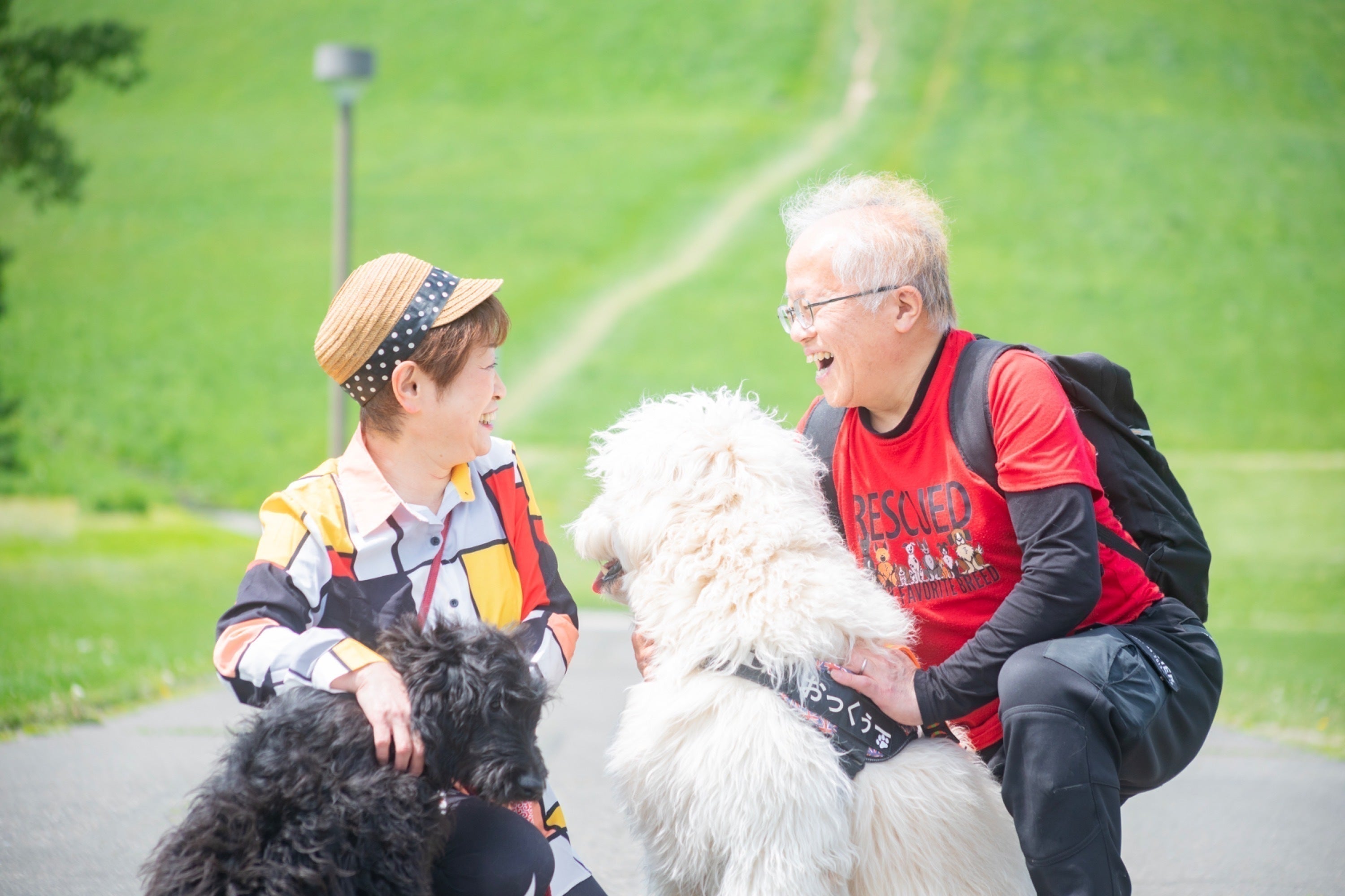 3番目のメイン画像