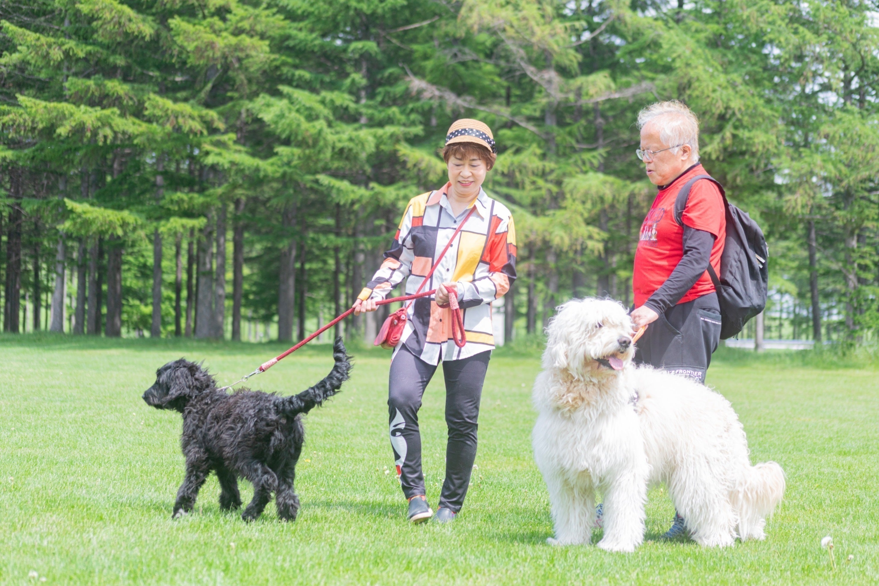 4番目のメイン画像