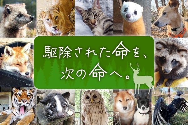 小諸市動物園に寄付者看板を設置しました - CAMPFIRE (キャンプファイヤー)
