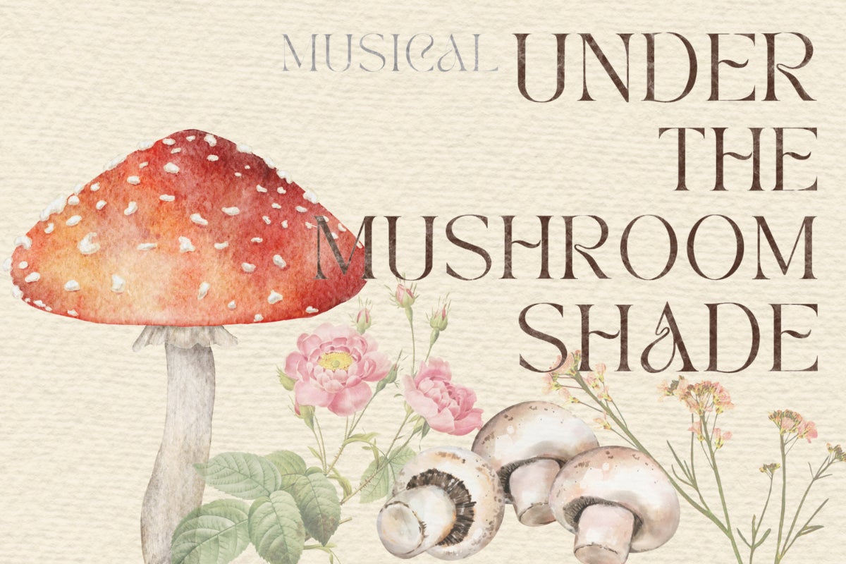 ミュージカル『Under The Mushroom Shade』公演プロジェクトのCAMPFIREプロジェクトページ。支援総額7,723,000円・達成率386%を達成