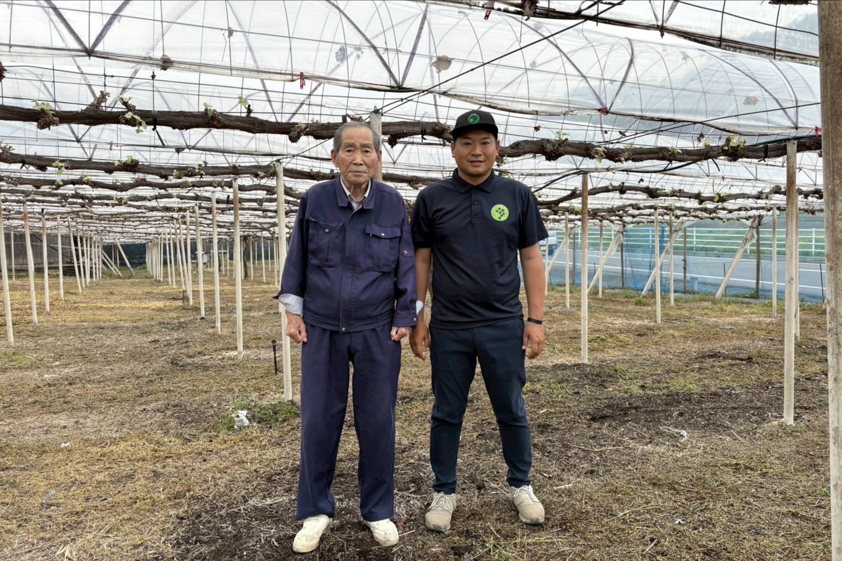 2番目のメイン画像