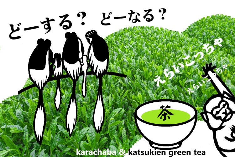 クリエイティブ＋茶袋で需要低迷のリーフ茶をちょっぴり盛り上げたいの 