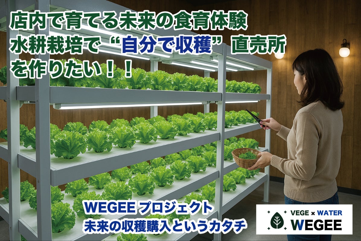 店内で育てる未来の食育体験を。水耕栽培で“自分で収穫”葉野菜直売所を