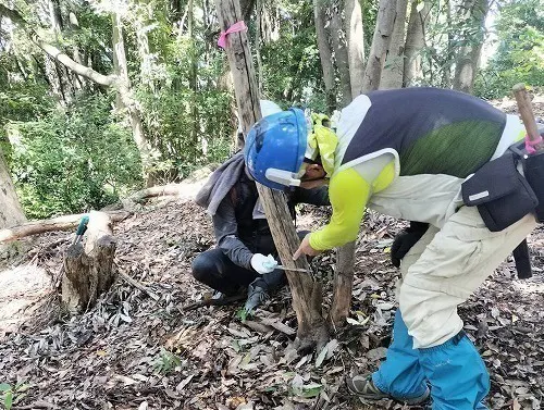 2番目のメイン画像