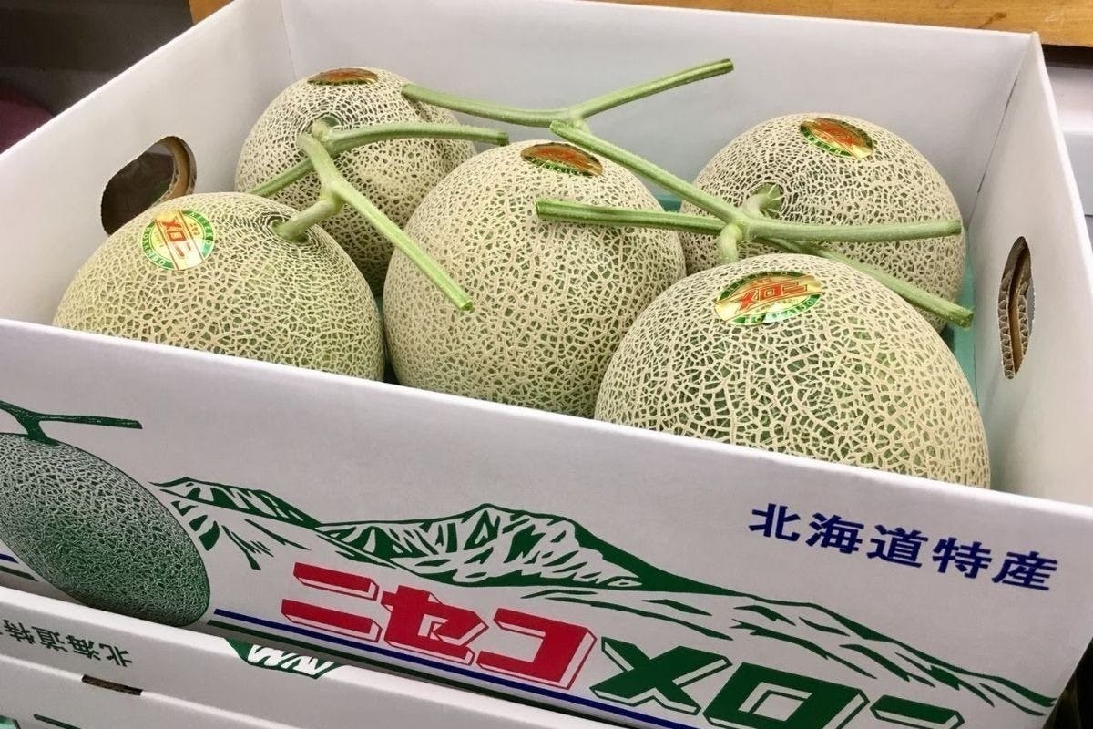 金賞受賞】市場には出回らない絶品メロン！希少なニセコメロンを