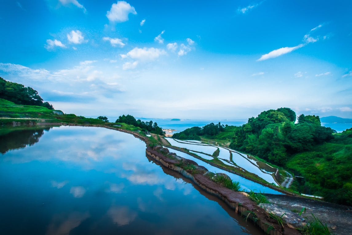 南島原 農プロ