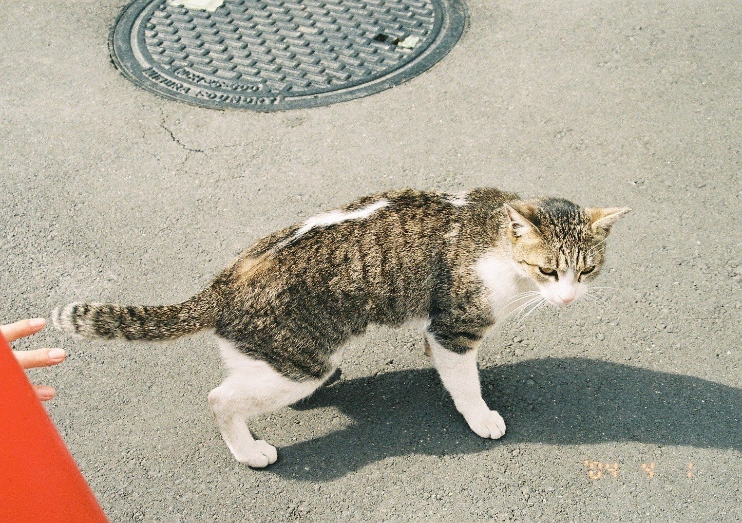 5番目のメイン画像