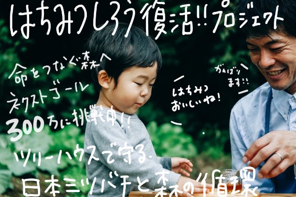 はちみつしろう復活プロジェクト】 ツリーハウスで守る、日本ミツバチ 
