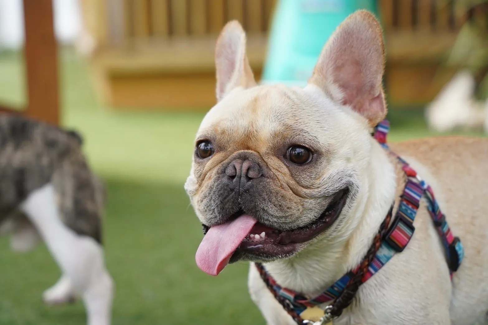 3番目のメイン画像