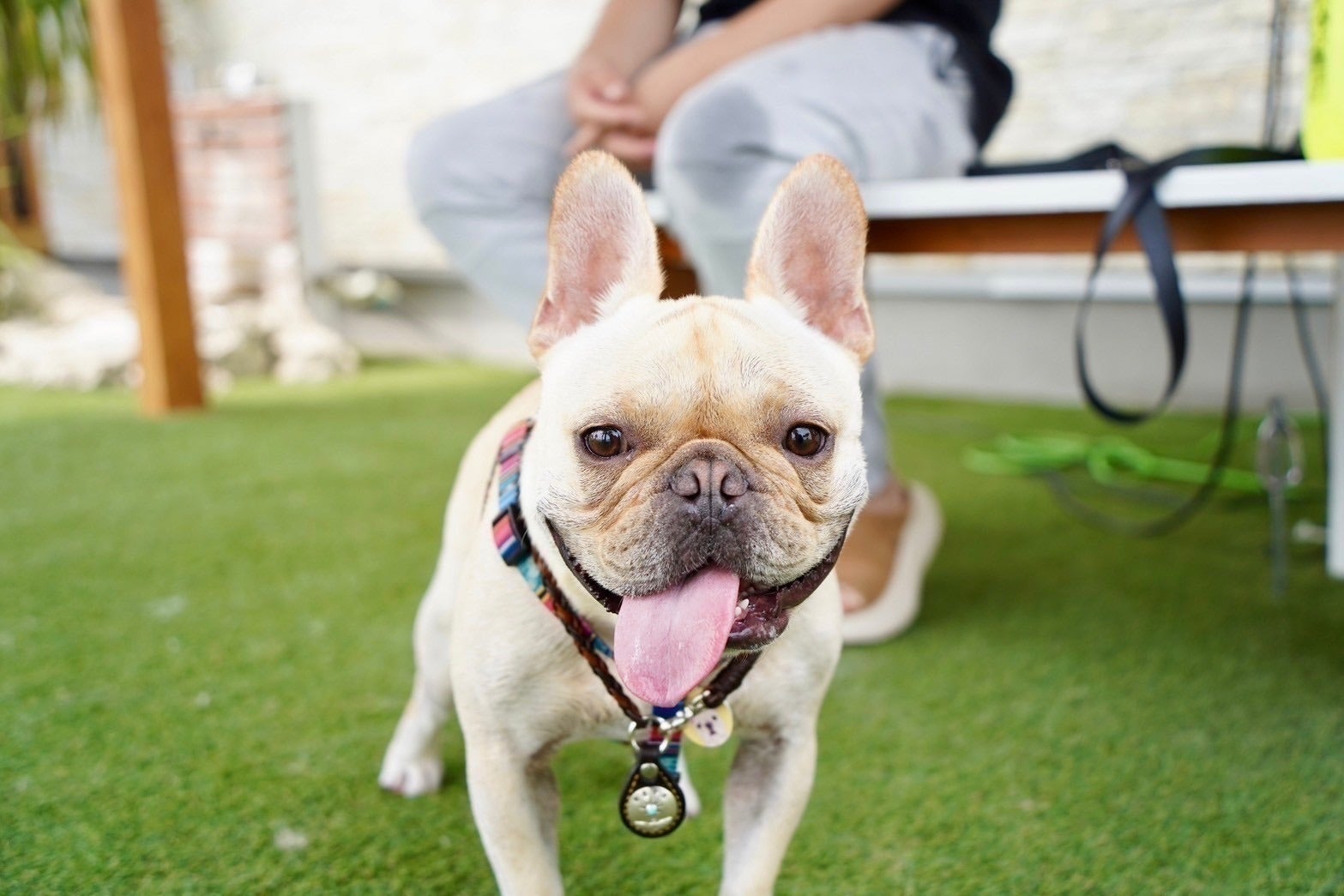 4番目のメイン画像