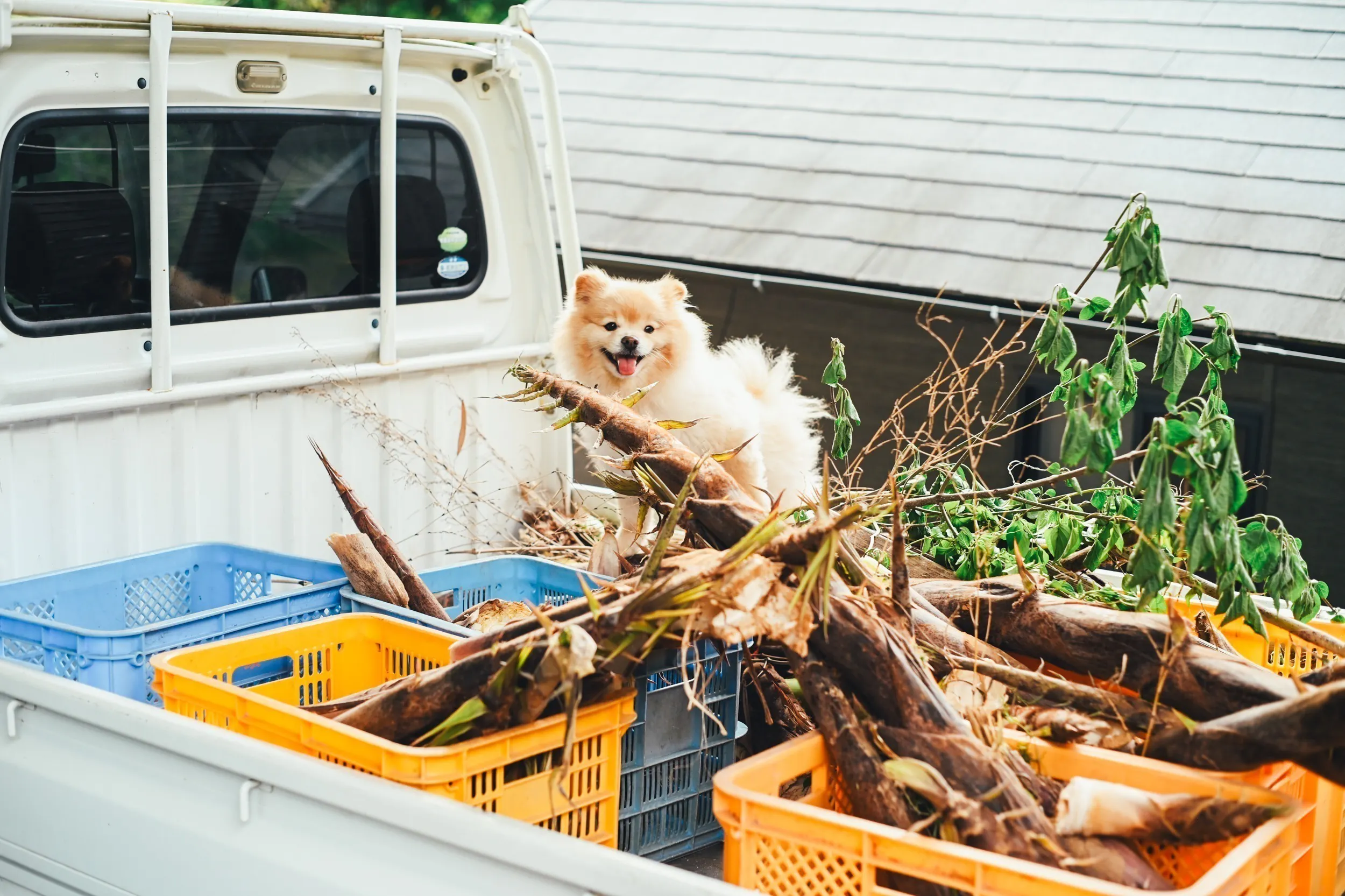 5番目のメイン画像