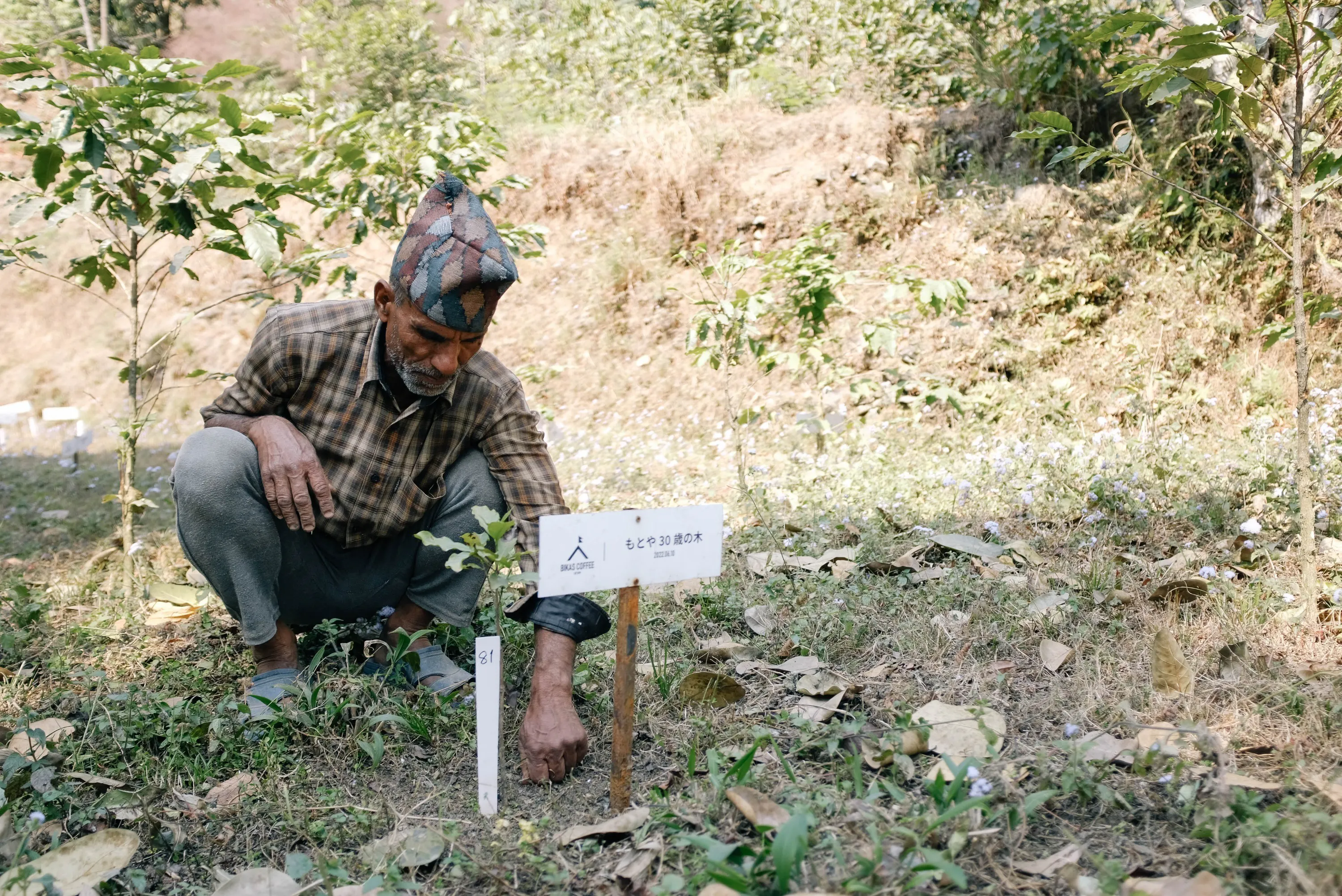 2番目のメイン画像