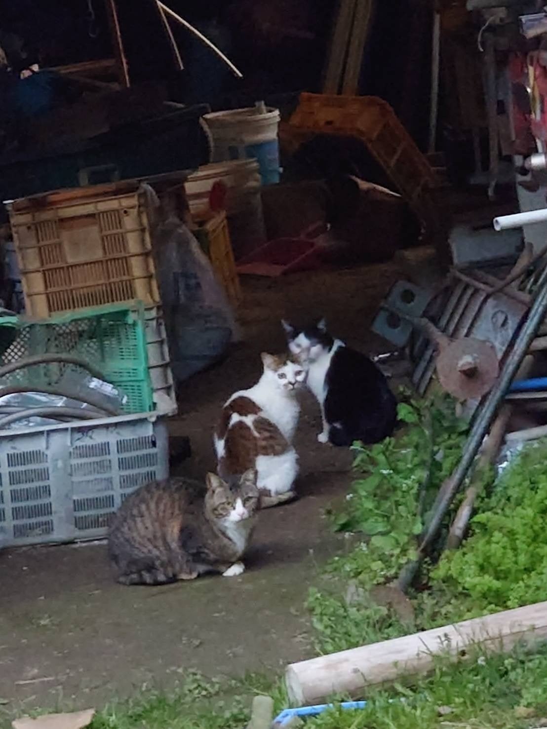 2番目のメイン画像