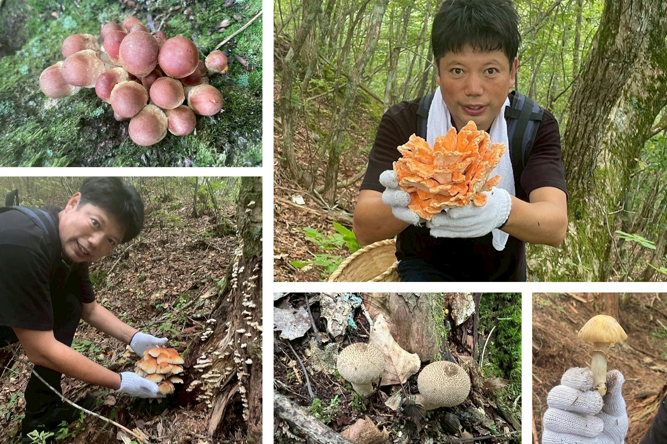 4番目のメイン画像