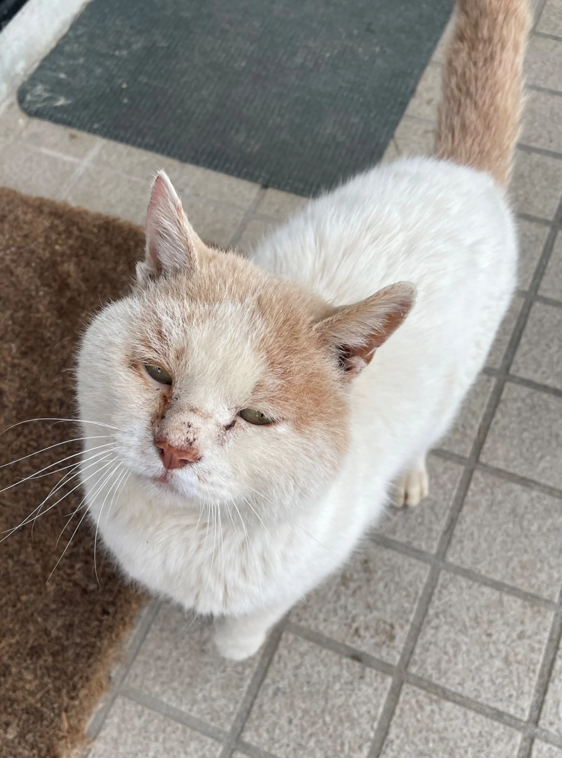 3番目のメイン画像