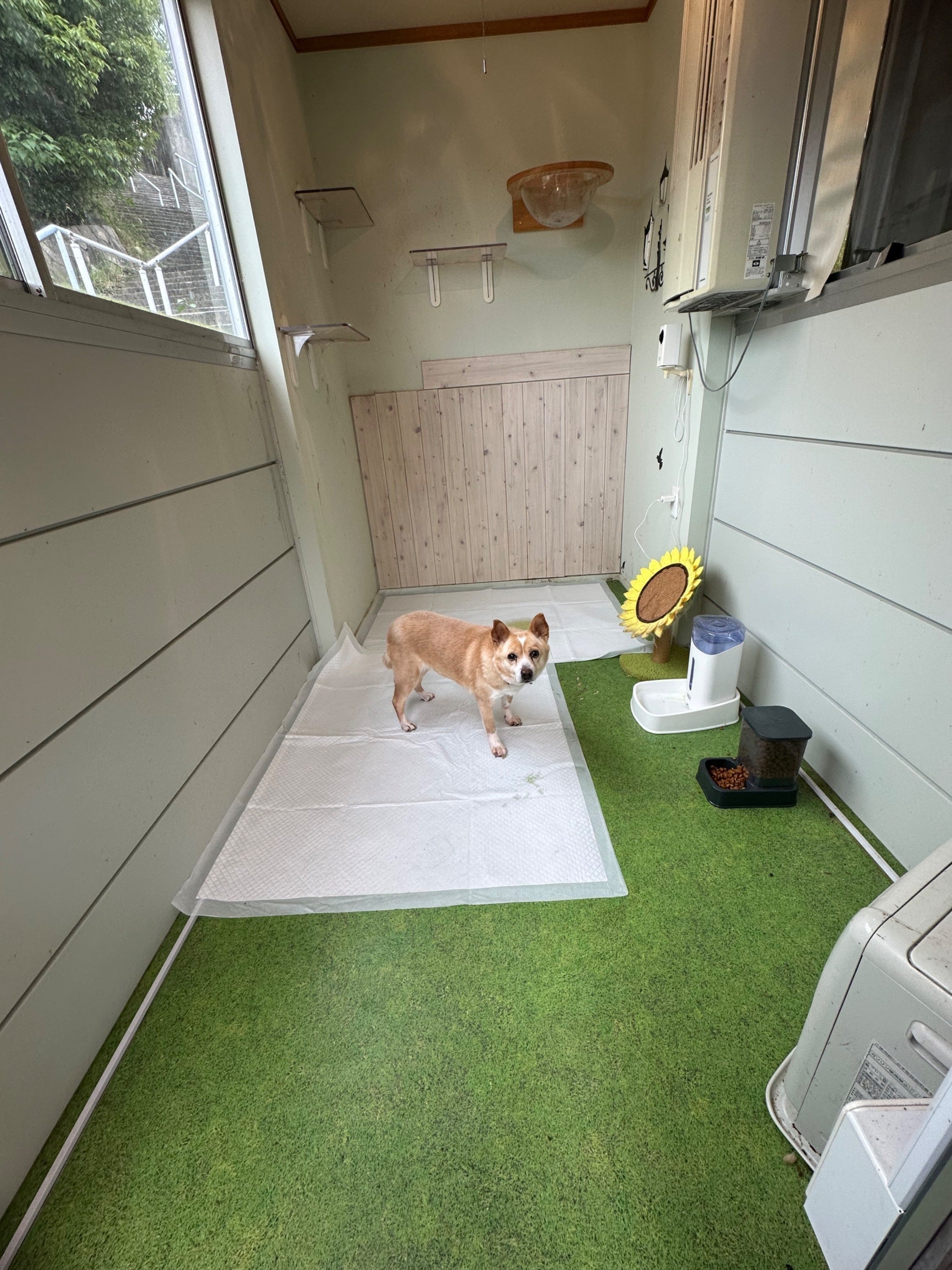 3番目のメイン画像