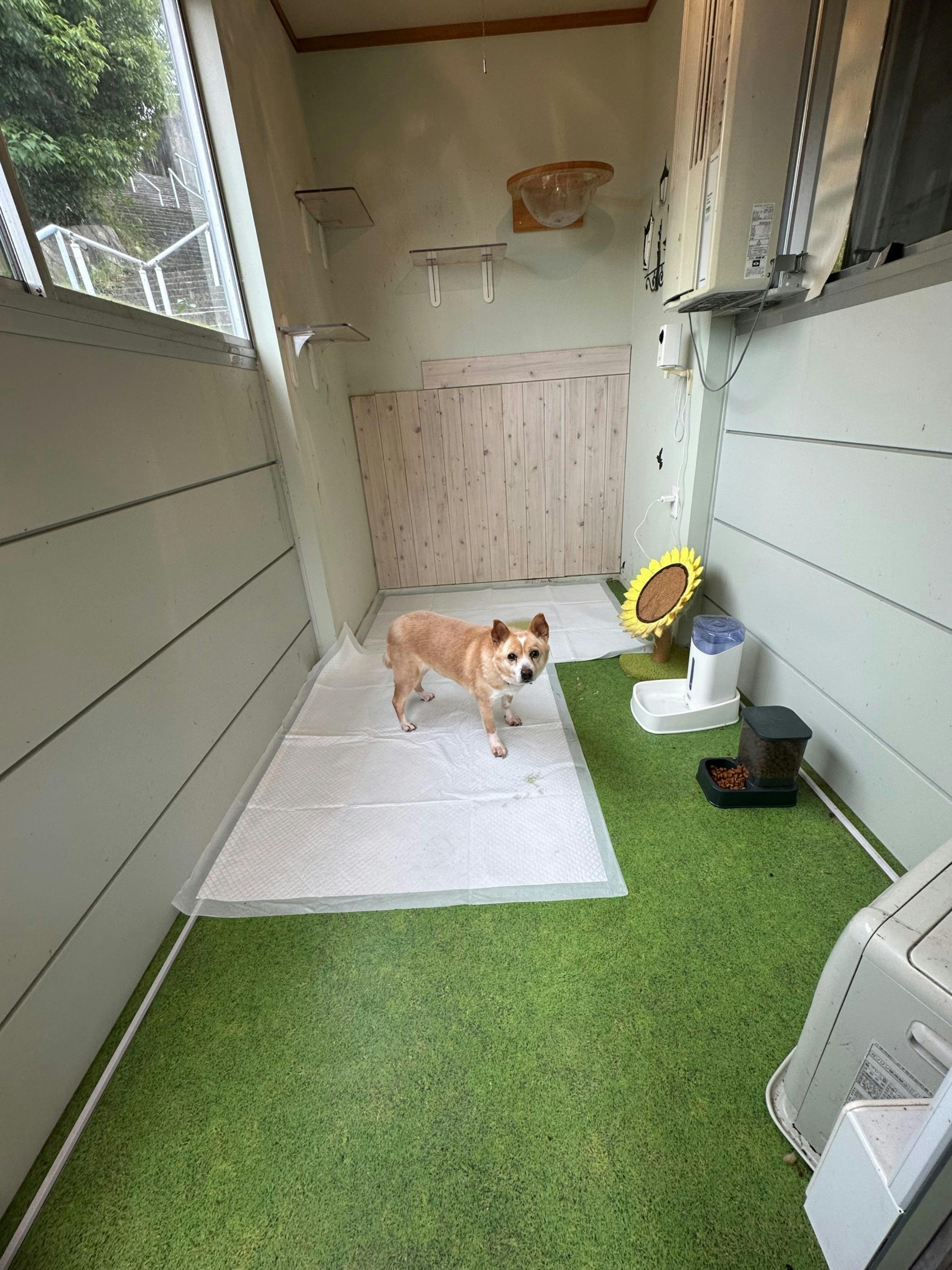 3番目のメイン画像