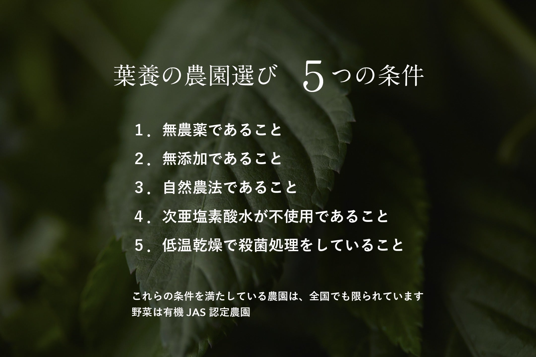 3番目のメイン画像