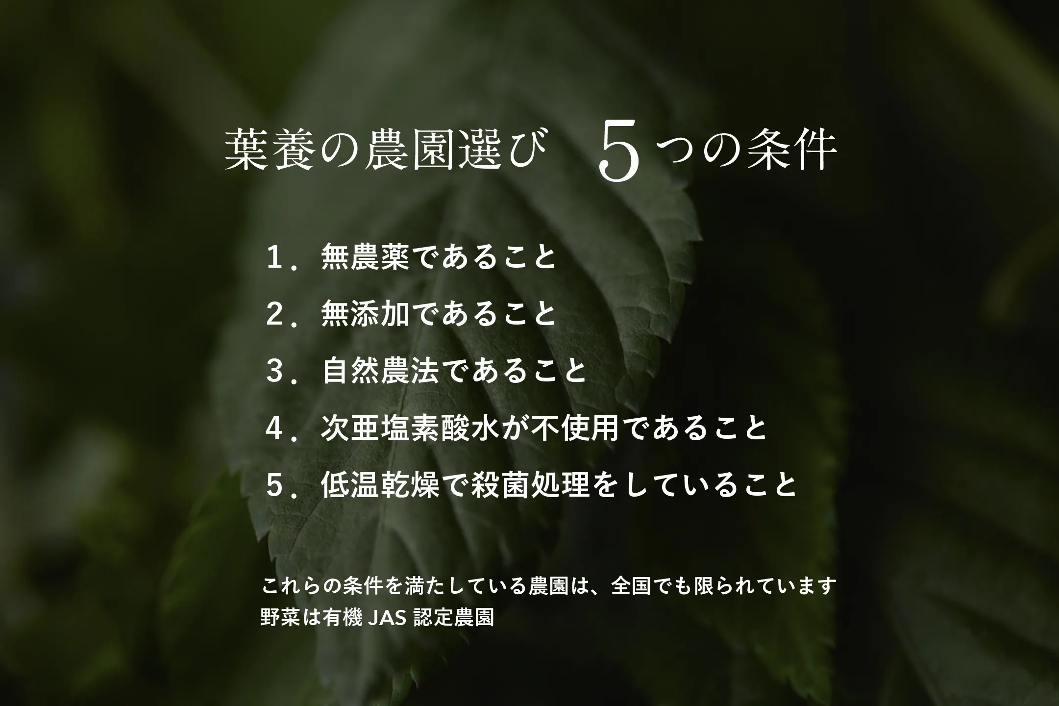 3番目のメイン画像