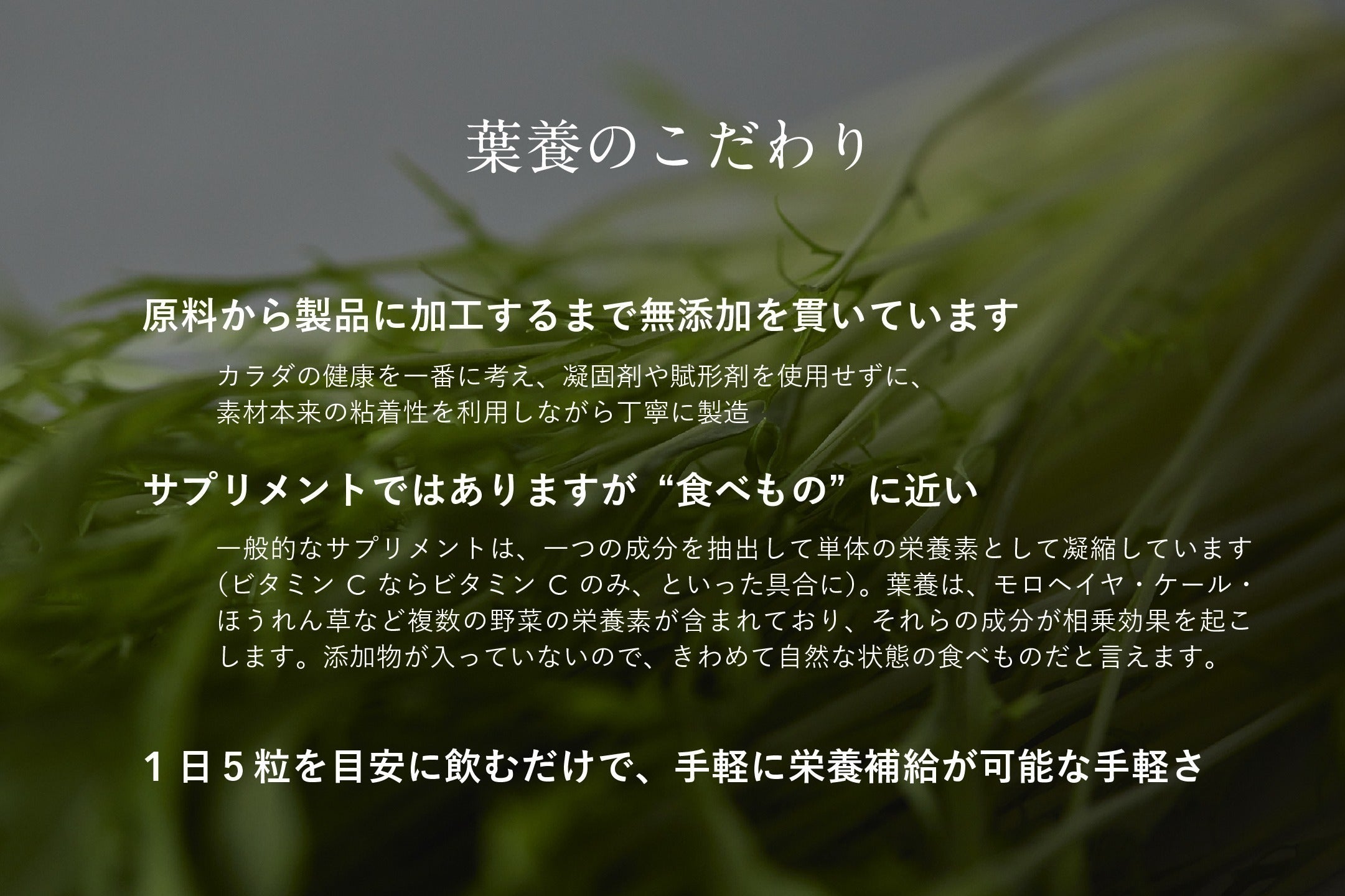 4番目のメイン画像