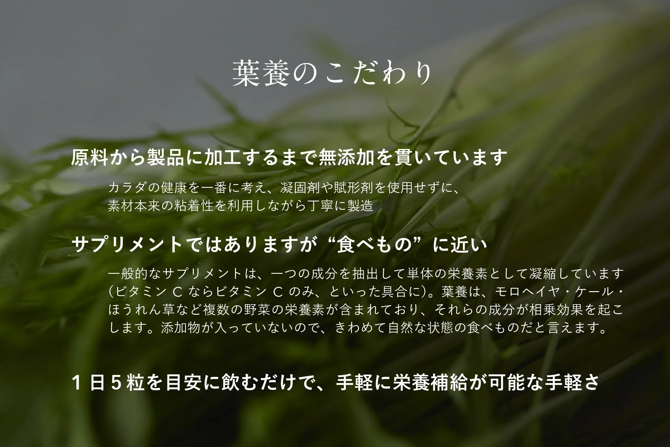 4番目のメイン画像