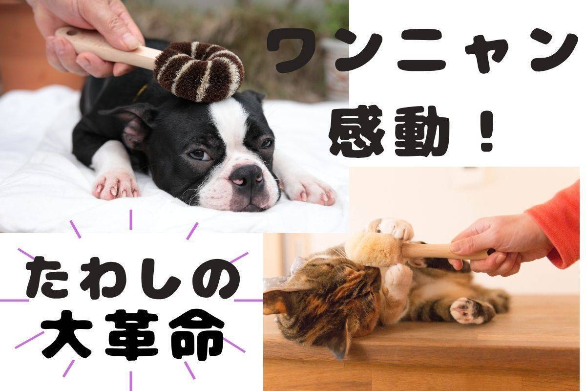 たわし たわしに正面から向き合った半世紀。「技術と思いが詰まった本物の