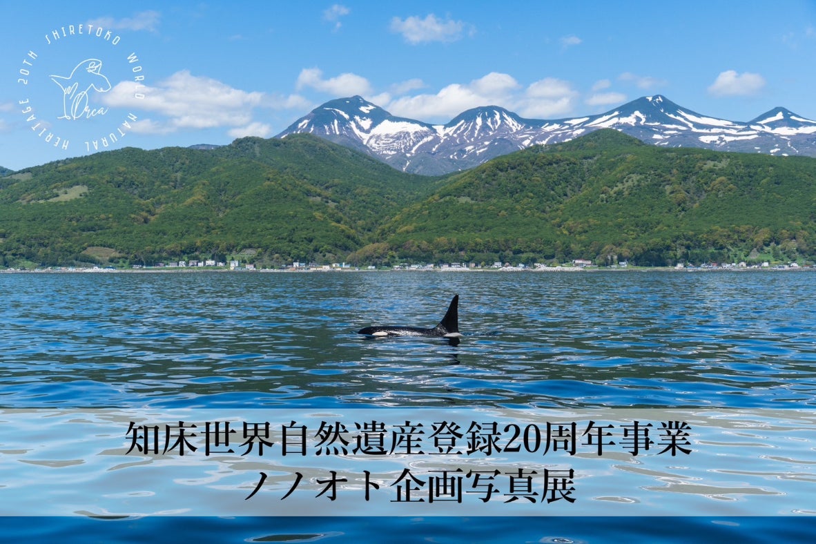世界自然遺産〈11枚組〉 世界自然遺産知床登録20周年記念写真展 × コラボグッズプロジェクト