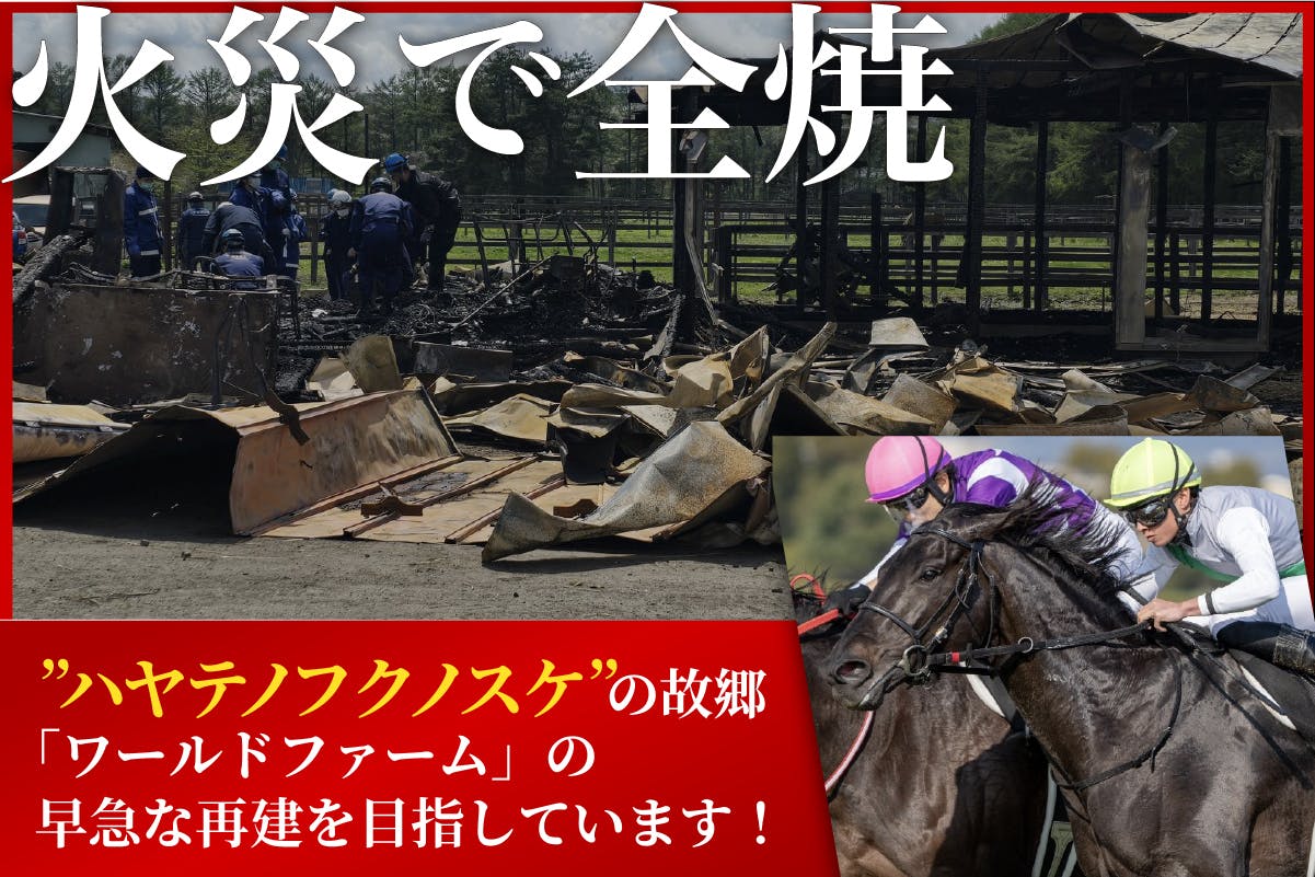 [賽事] 05/31-06/01 日本ダービー/目黒記念/葵S