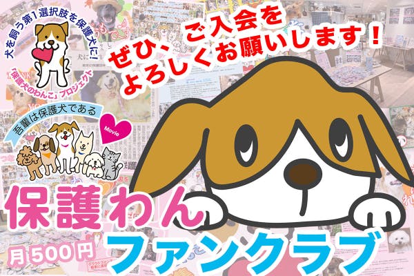 「犬を飼う第1選択肢を保護犬に!」保護わんの活動を総合的に支えていこう!