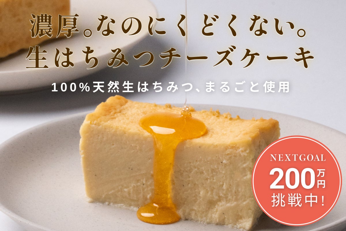 砂糖・小麦粉不使用！ねっとり食感×味わい豊かな生はちみつチーズ 