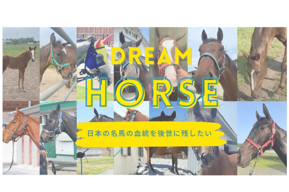 「ドリームホース・ファンクラブ」　〜“夢”と“血”を次世代へ〜　新たな夢の旅路