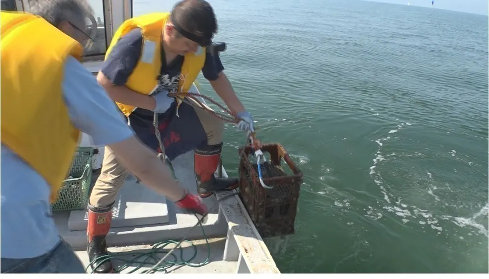 5番目のメイン画像