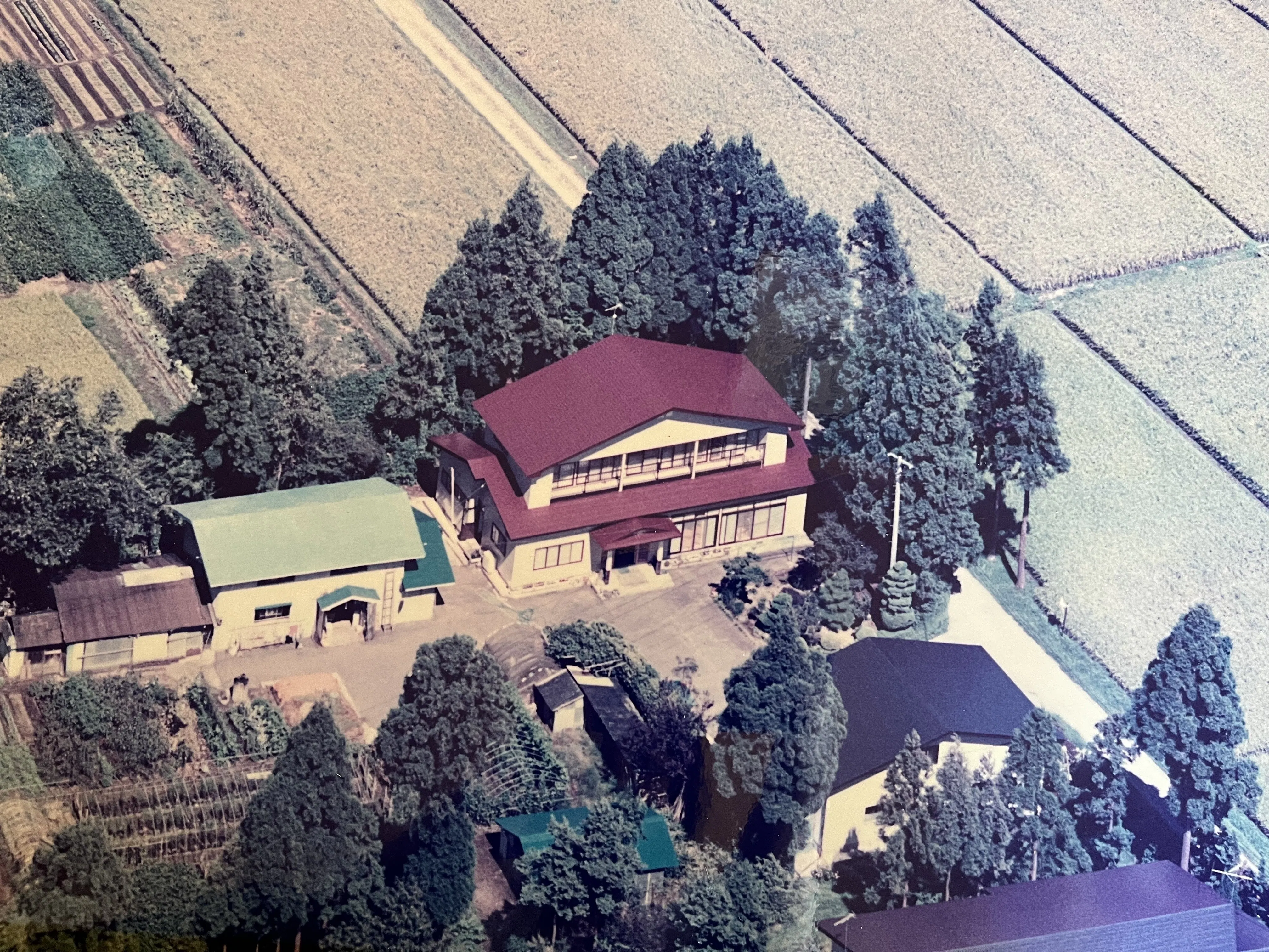 3番目のメイン画像