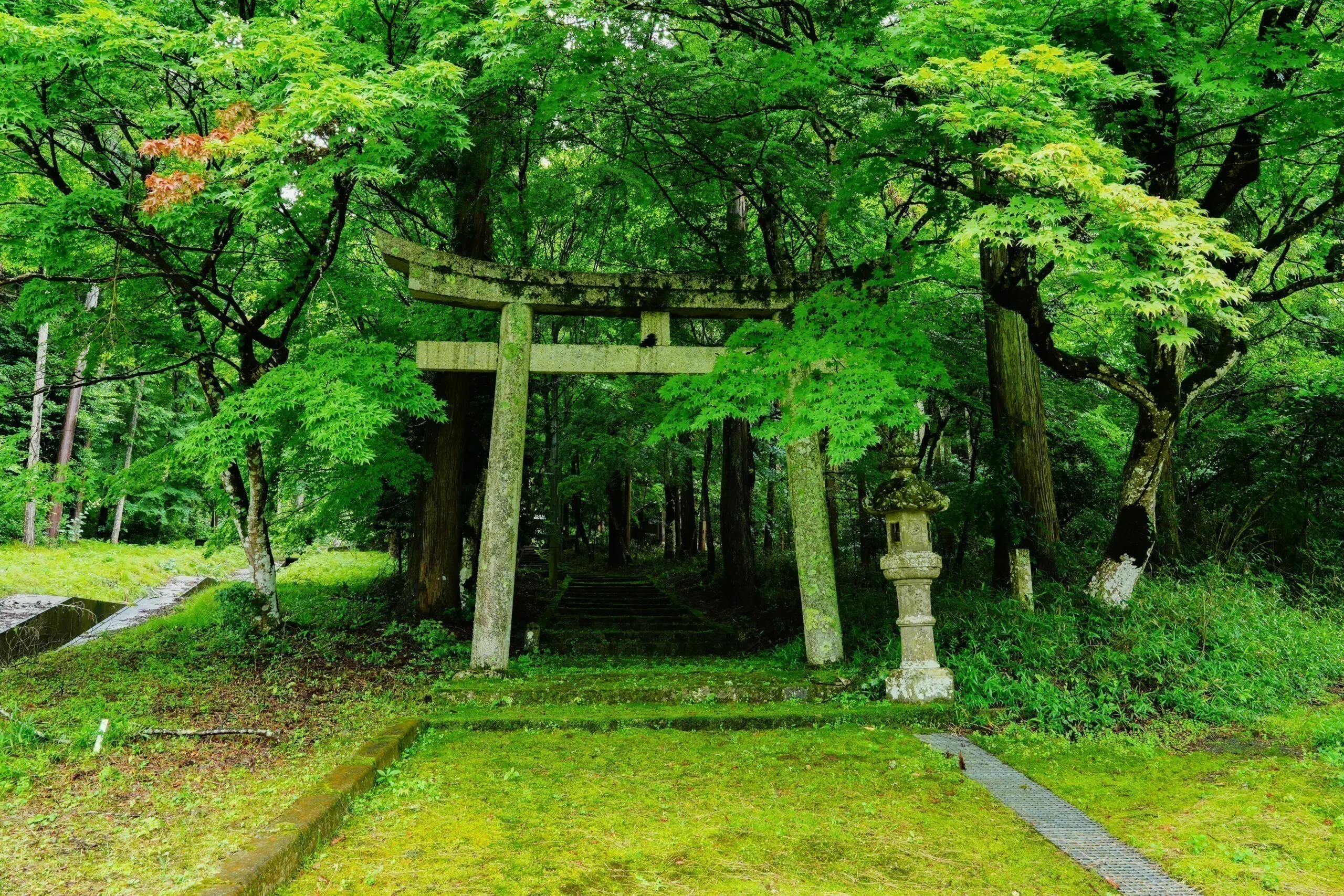 3番目のメイン画像