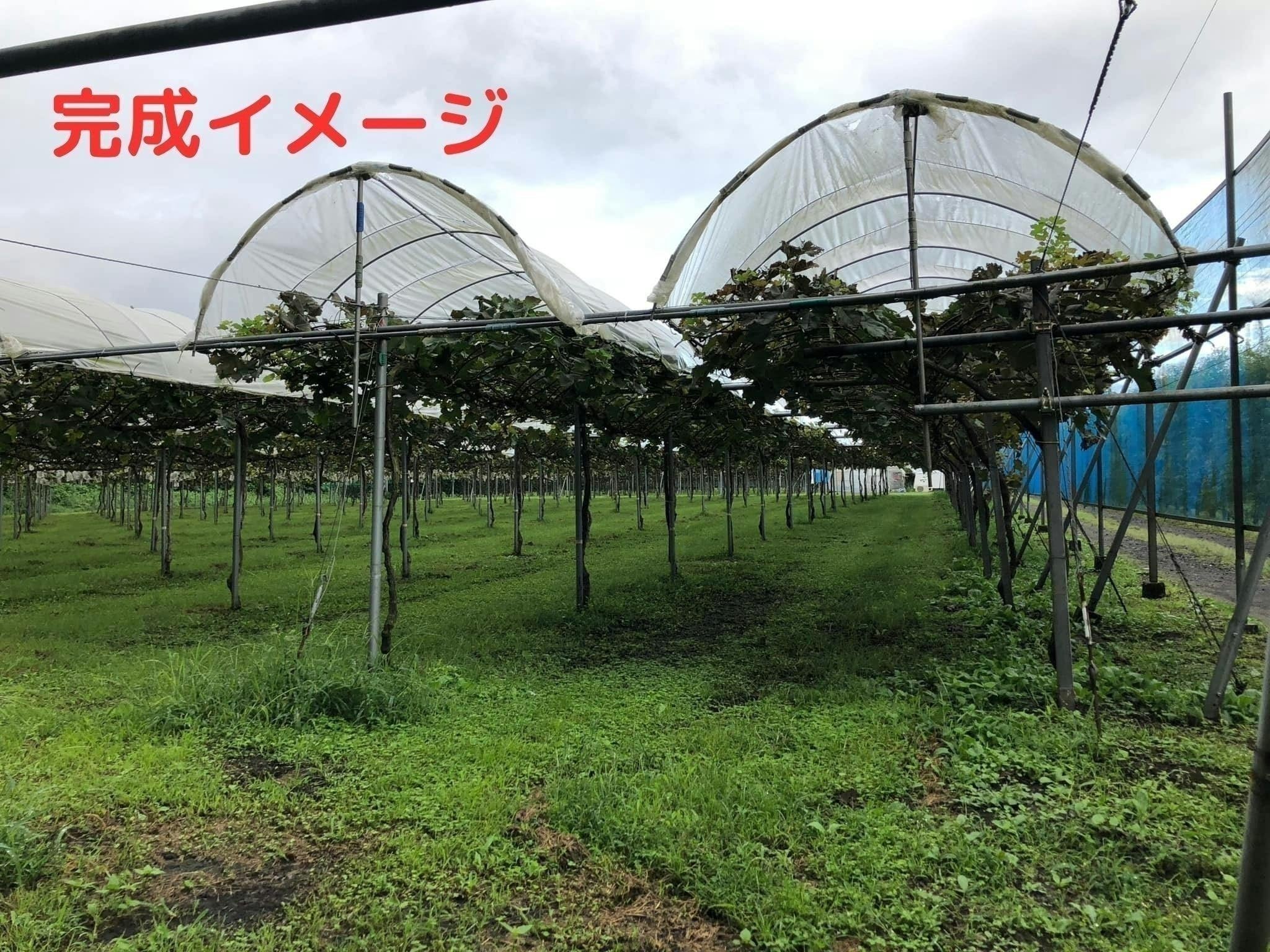 5番目のメイン画像
