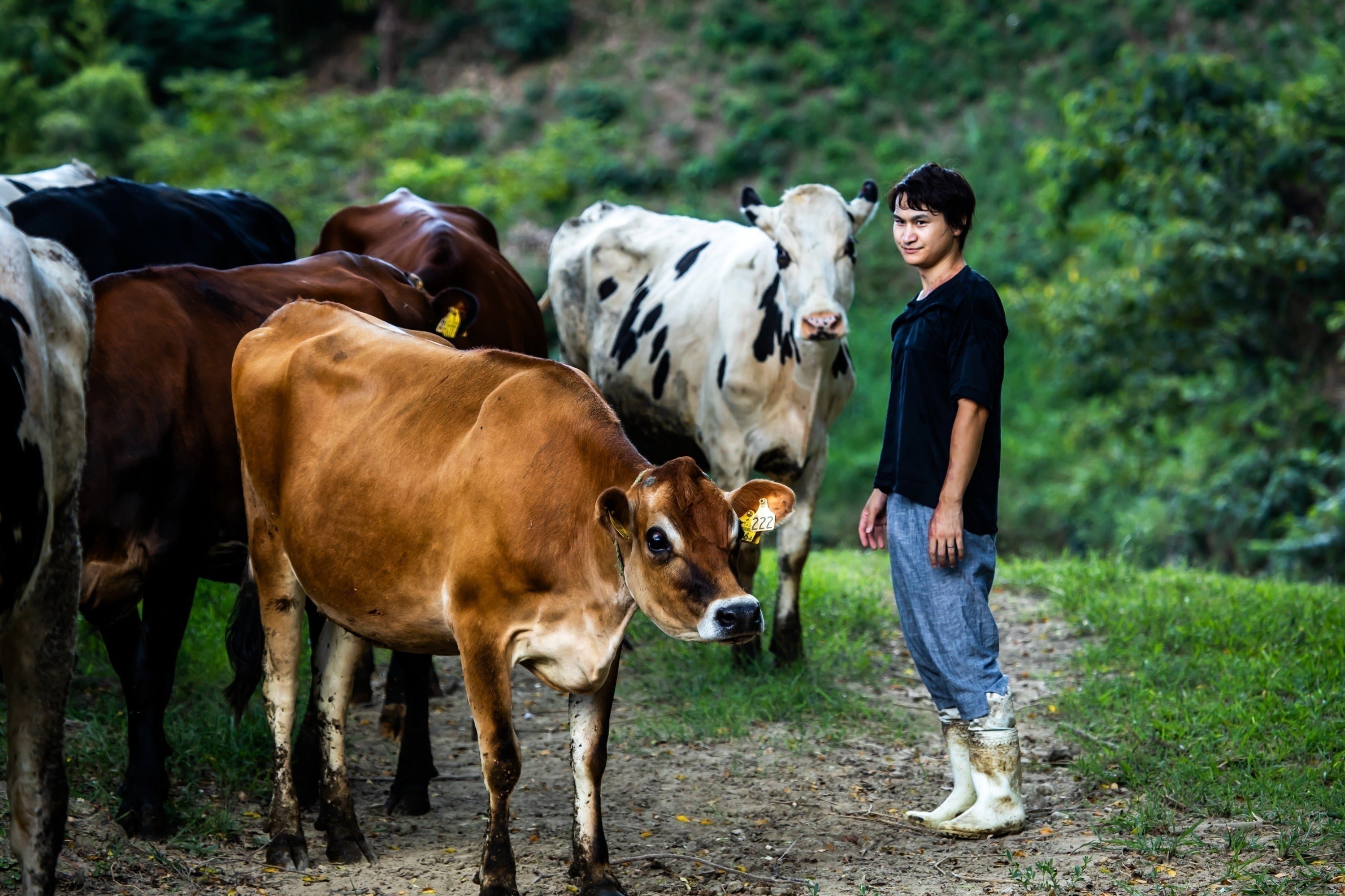 2番目のメイン画像