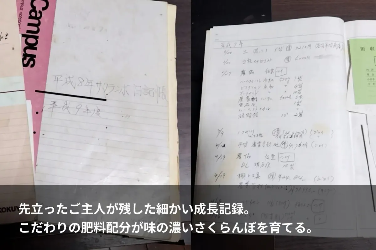 5番目のメイン画像