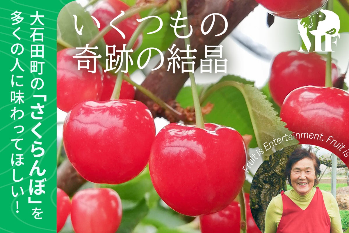 山形のさくらんぼが絶滅する!? 大石田町の奇跡のさくらんぼを食して
