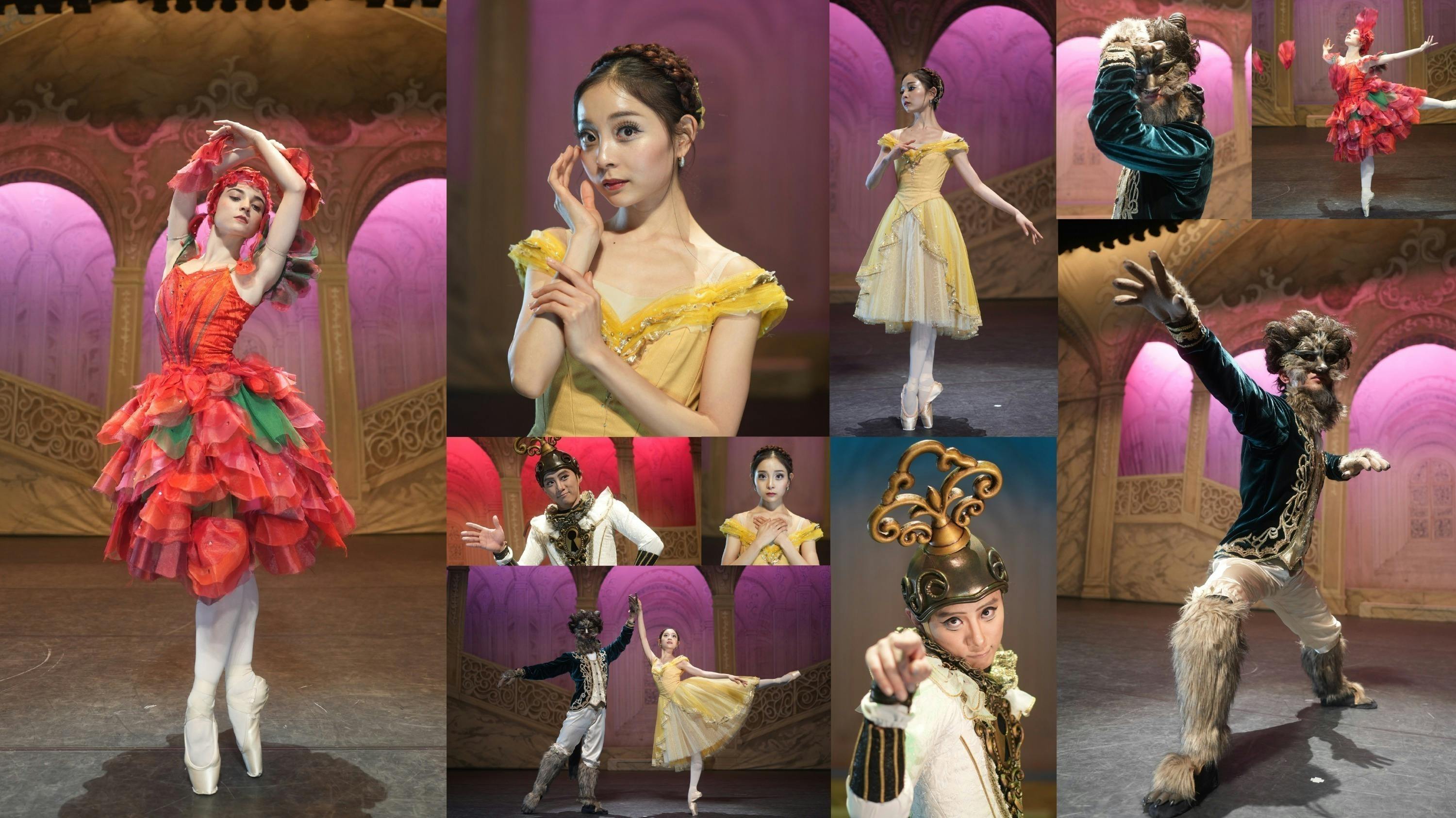 ヤマカイTV 美女と野獣 The Ballet Show DVDとパンフレット ヤマカイTV 美女と野獣 The Ballet Show DVDとパンフレット