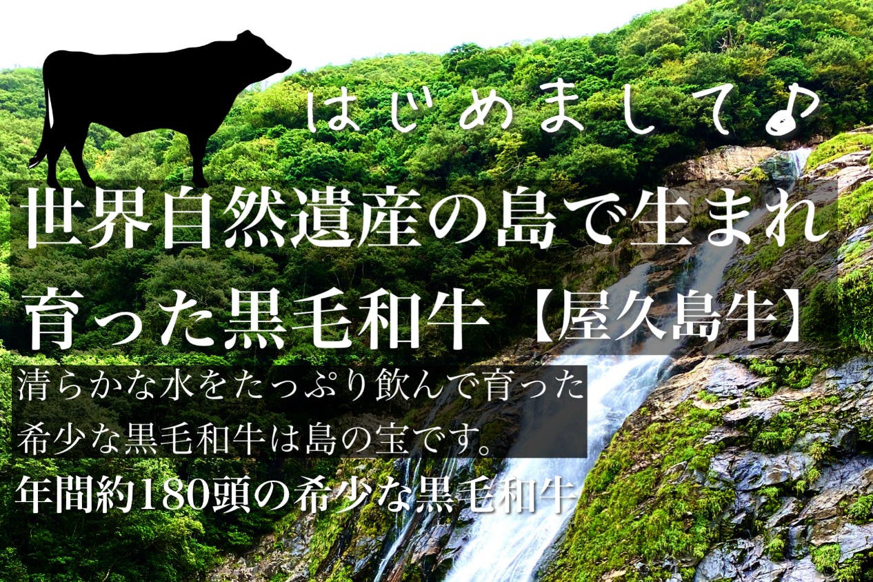 唯一無二の黒毛和牛「屋久島牛プロジェクト」〜世界自然遺産の