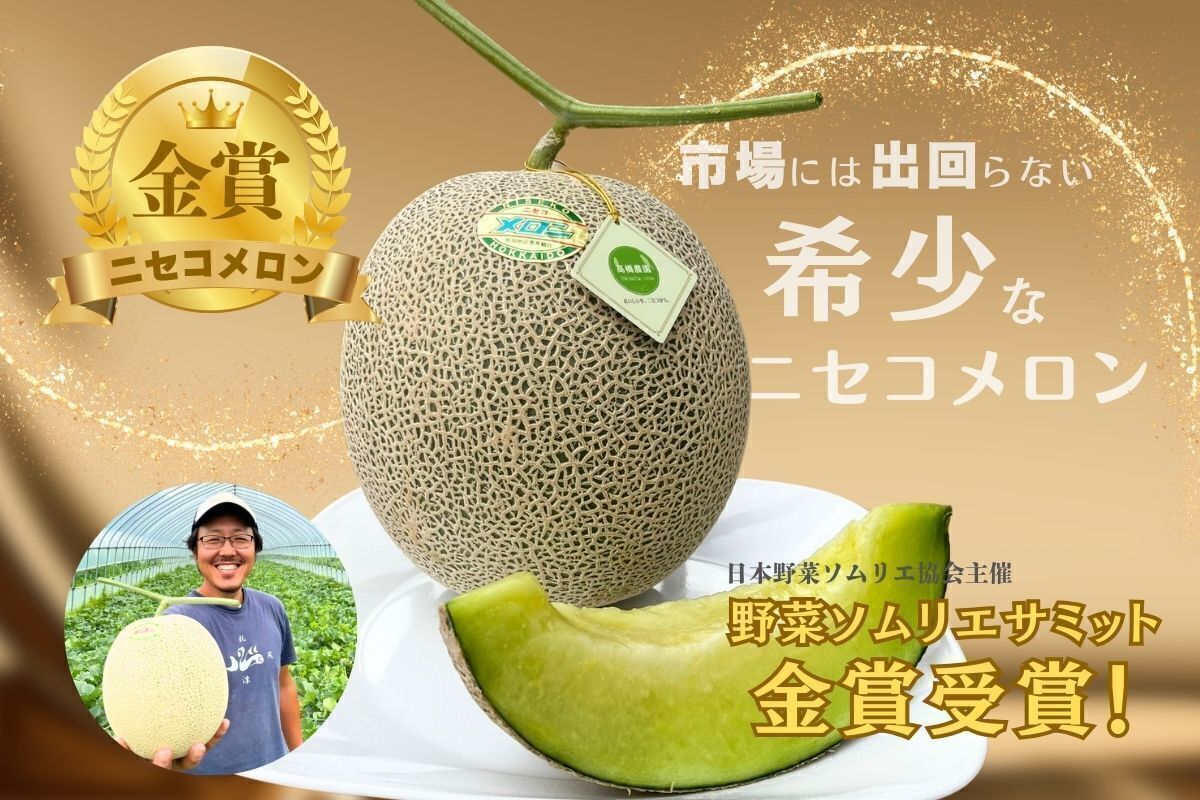 金賞受賞】市場には出回らない絶品メロン！希少なニセコメロンを食べて
