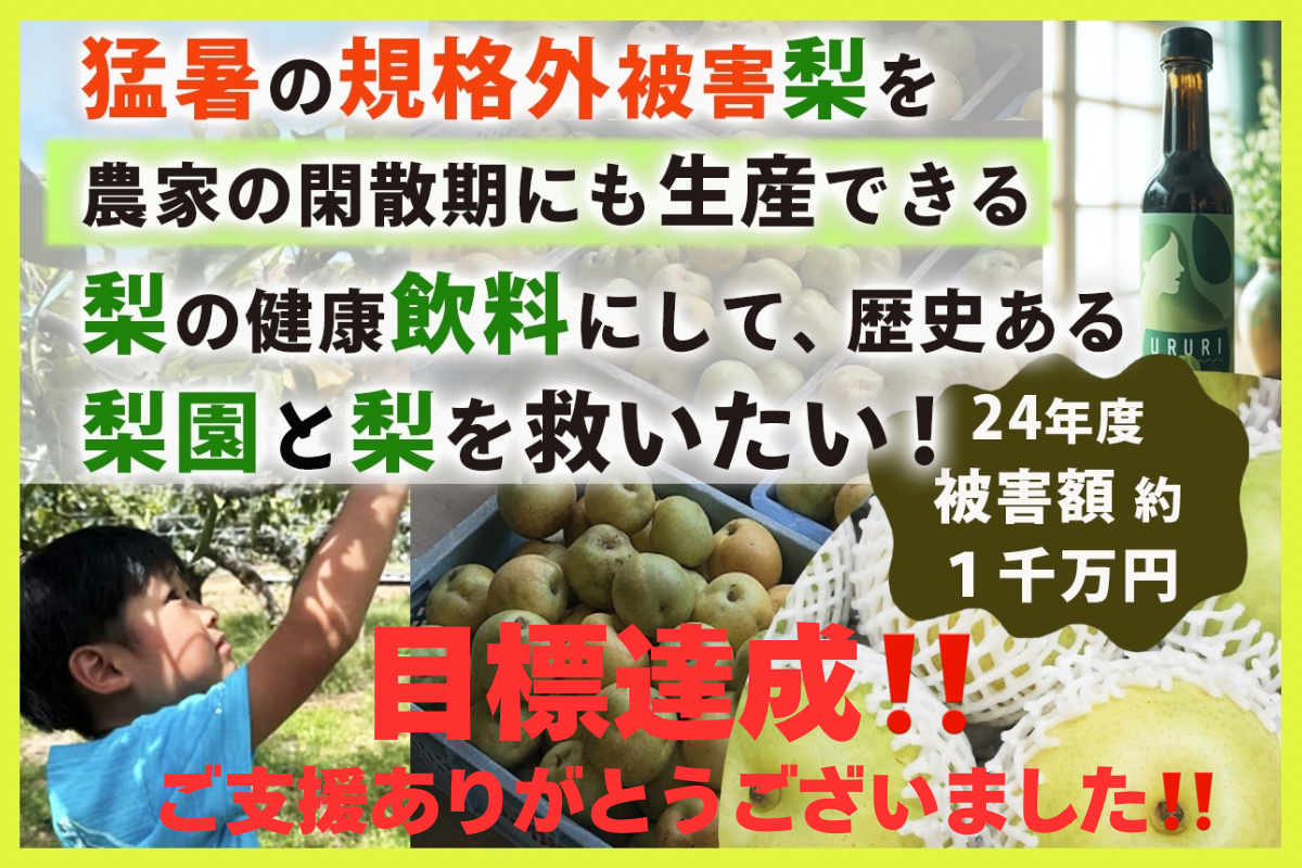 潤梨（URURI) 潤い美人まちがい梨　発酵酵素原液　3本セット 1つも無駄にしたくない！発酵酵素原液「潤梨（うるり）」で島根の“被害