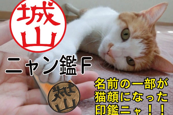 【極レア】本物保証 ドーム・ナンシー 猫 楽天市場】神保町にゃんこ堂 ねこALL柄 二つ折ラウンドファスナー財布
