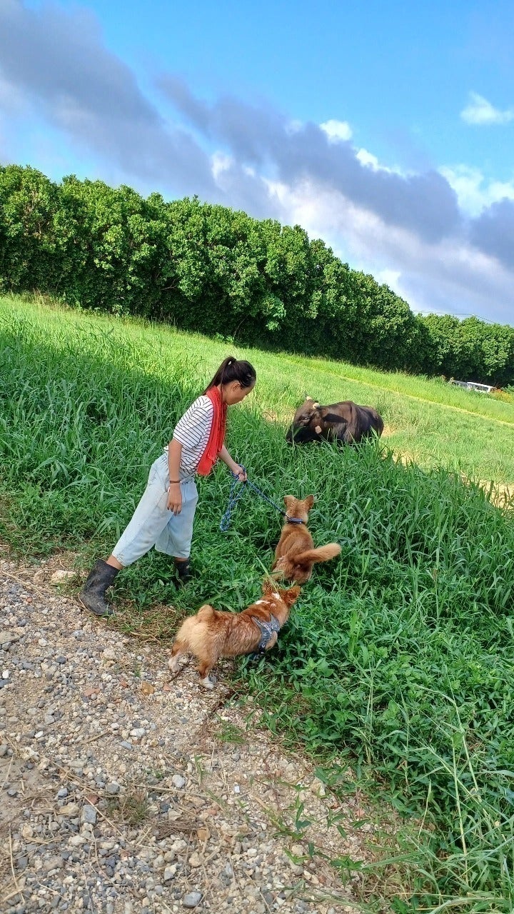 3番目のメイン画像