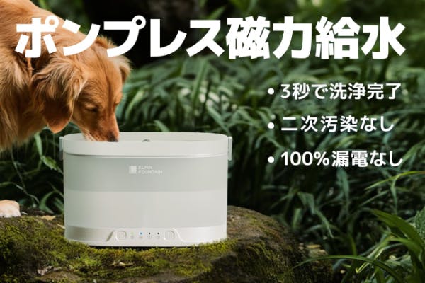 エルフィン給水器　新品未使用 エルフィン給水器 |自然からの流れ