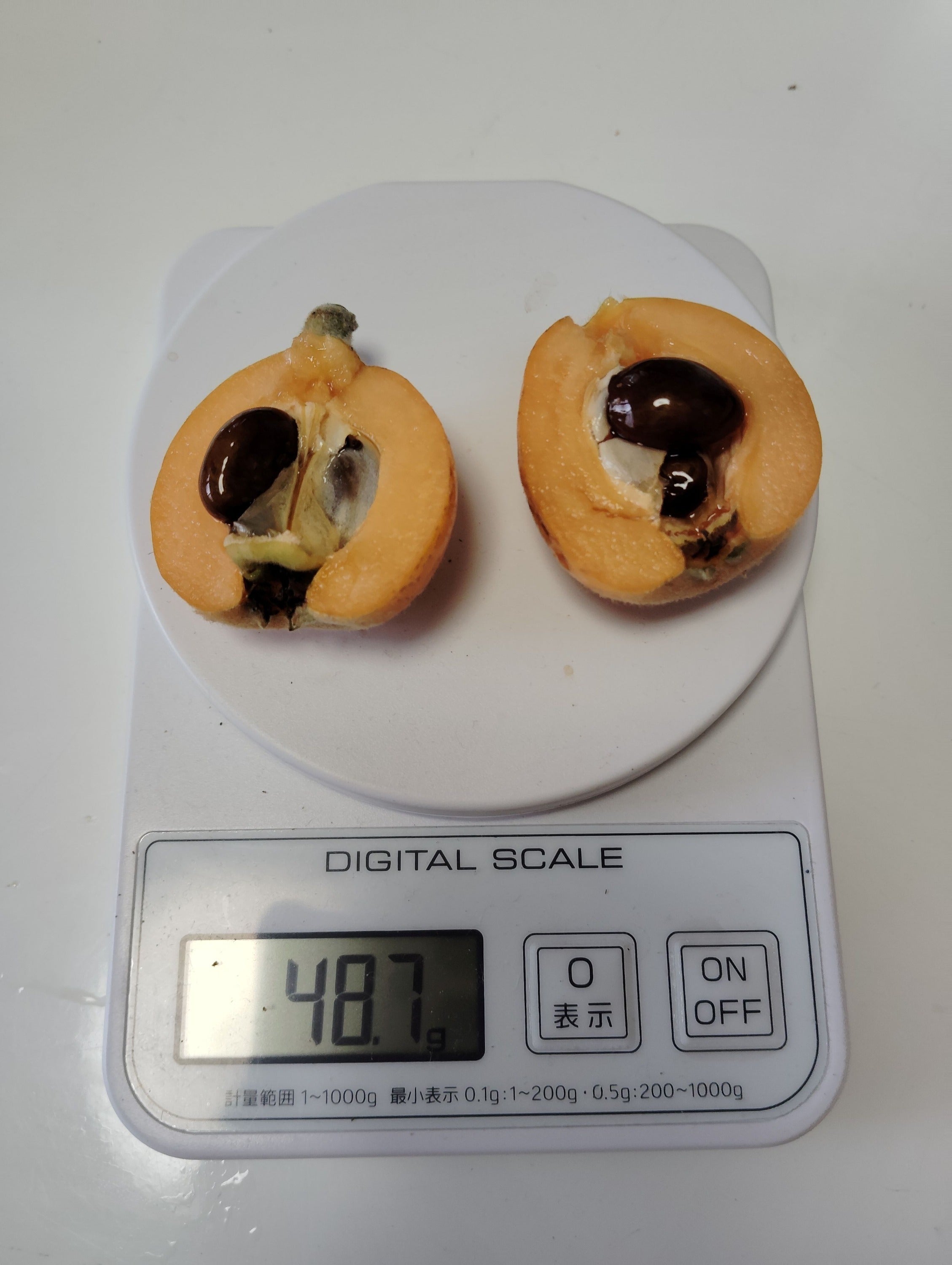 5番目のメイン画像