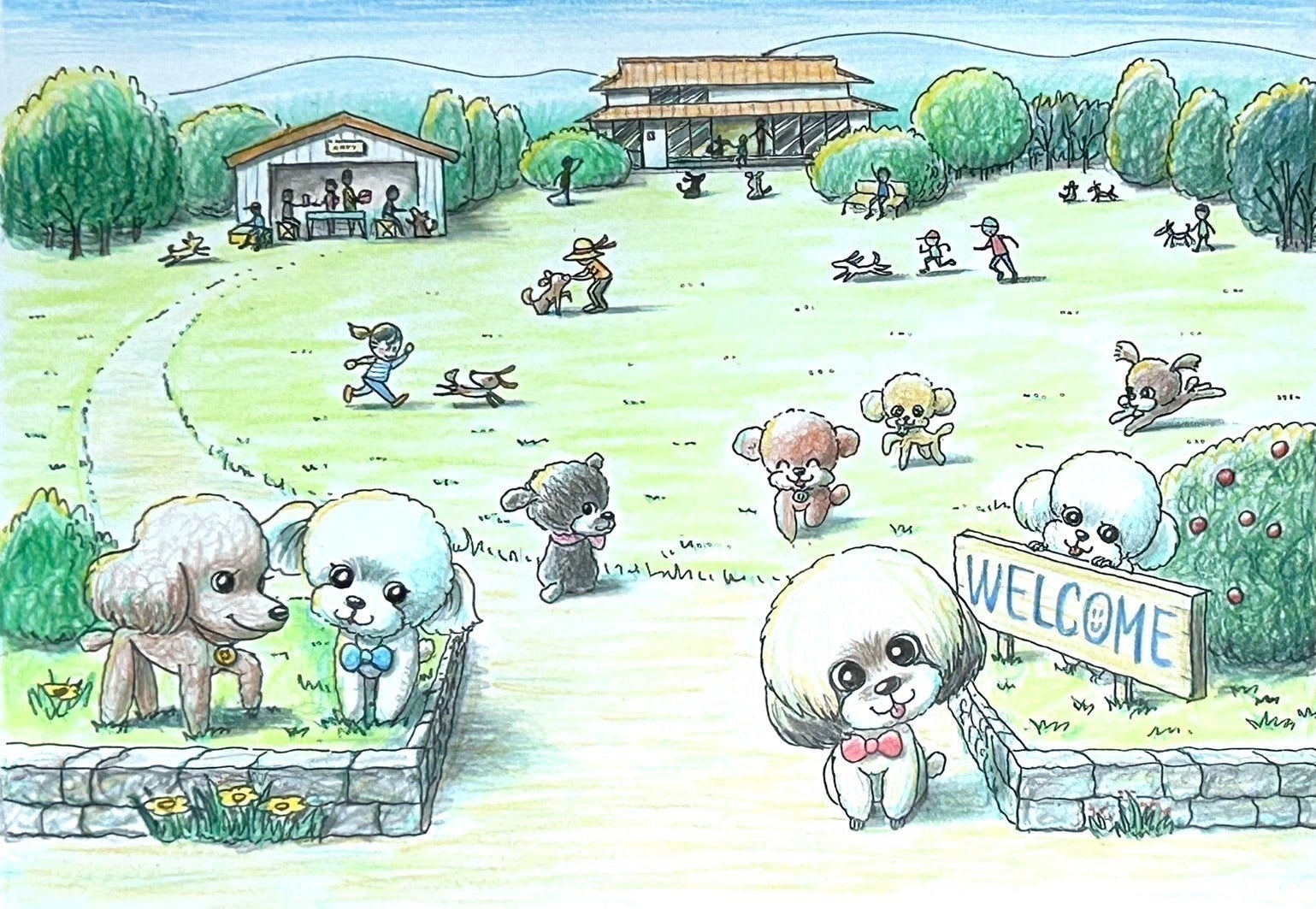 5番目のメイン画像