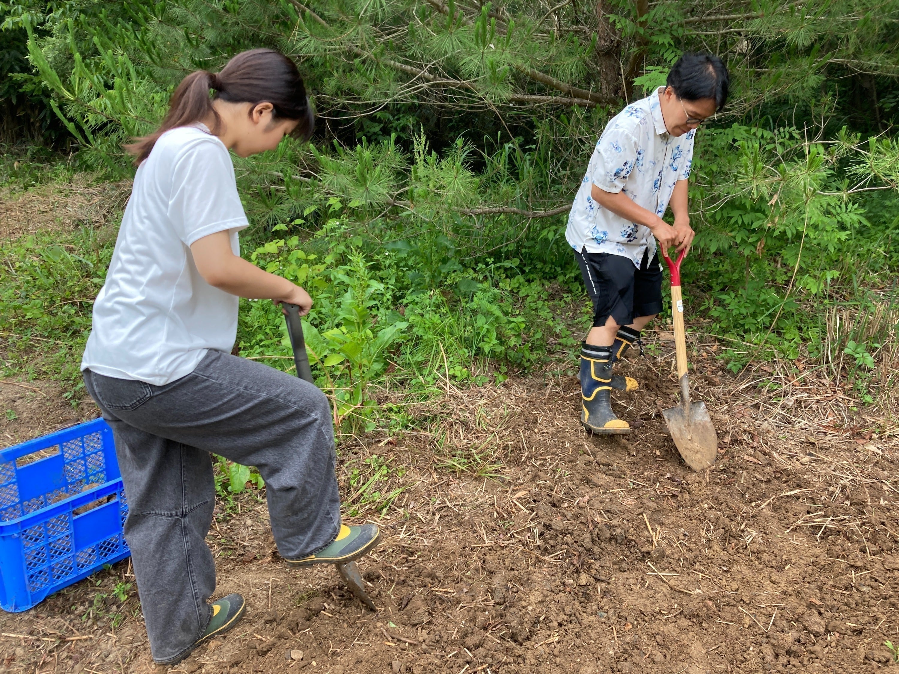 3番目のメイン画像