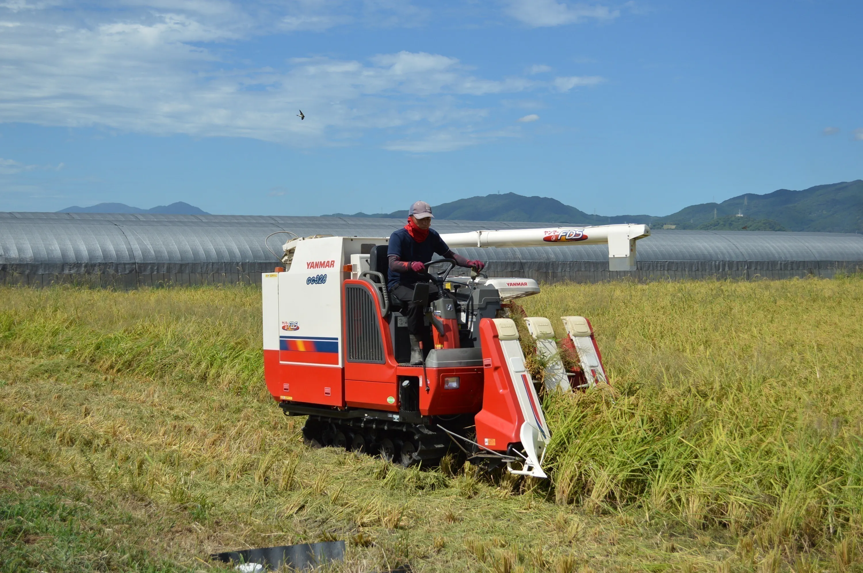 4番目のメイン画像