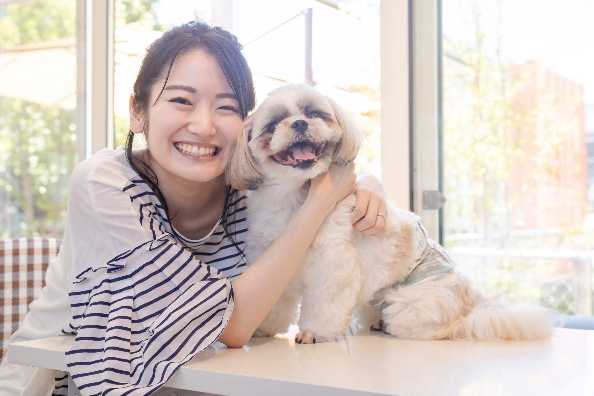 3番目のメイン画像